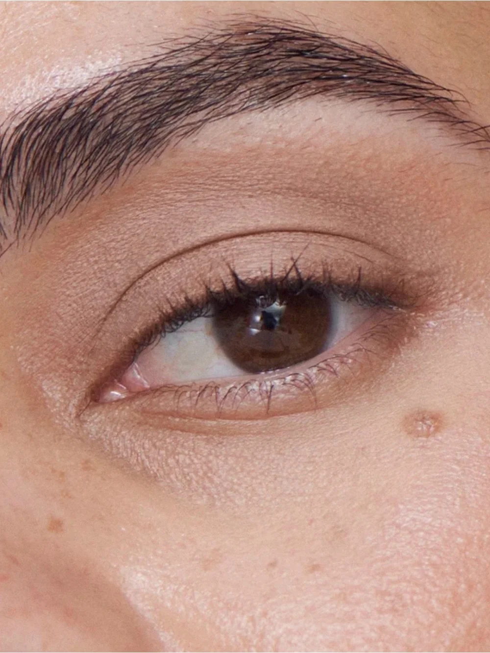 ILIA Cream-to-Powder Eyeshadow - Cork (Taupe)